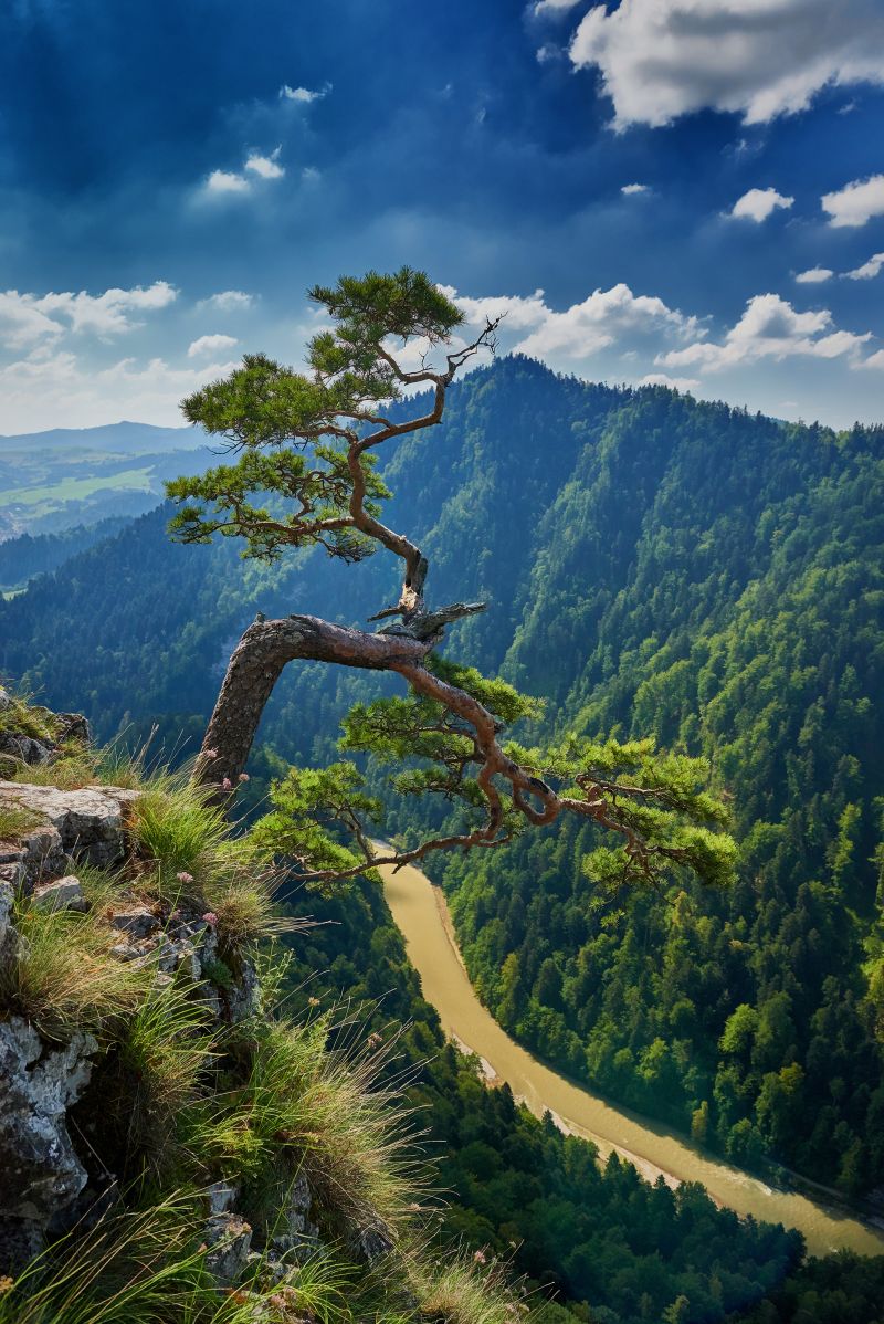 Fotografia PEJZAŻ - Michał Wiśniewski Lębork