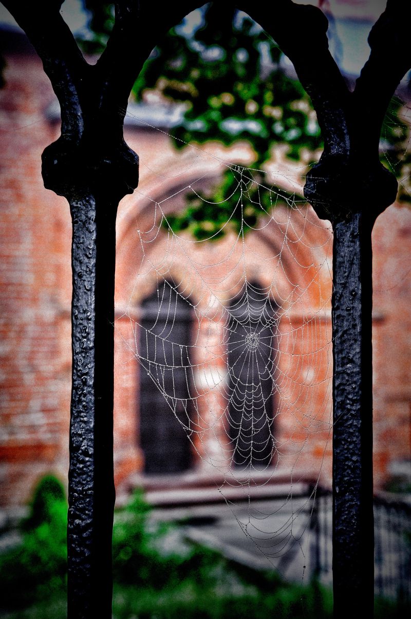 Fotografia SANDOMIERZ - Michał Wiśniewski Lębork