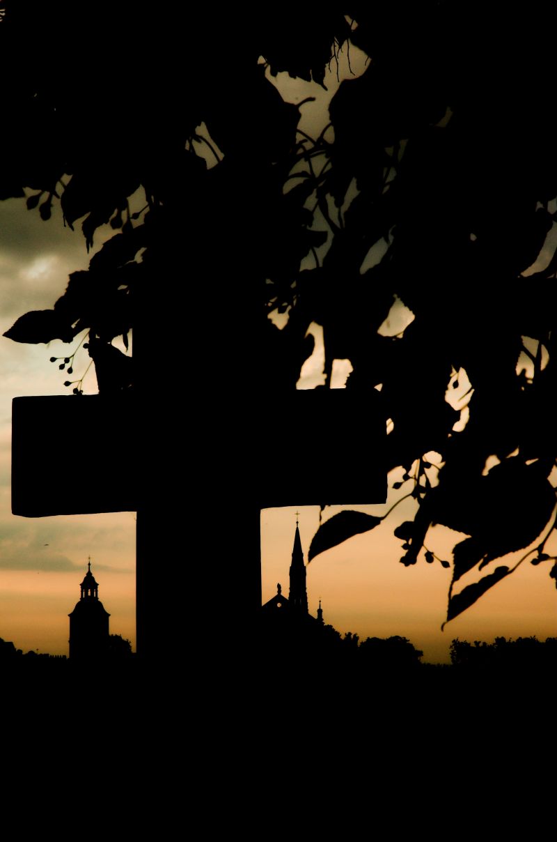 Fotografia SANDOMIERZ - Michał Wiśniewski Lębork