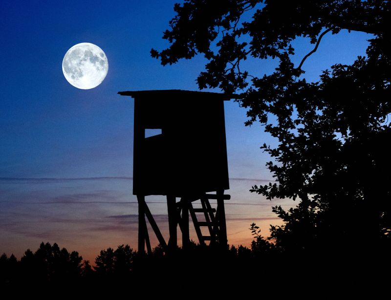 Fotografia PEJZAŻ - Michał Wiśniewski Lębork