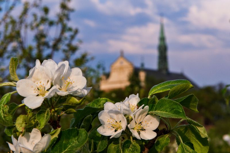 Fotografia SANDOMIERZ - Michał Wiśniewski Lębork