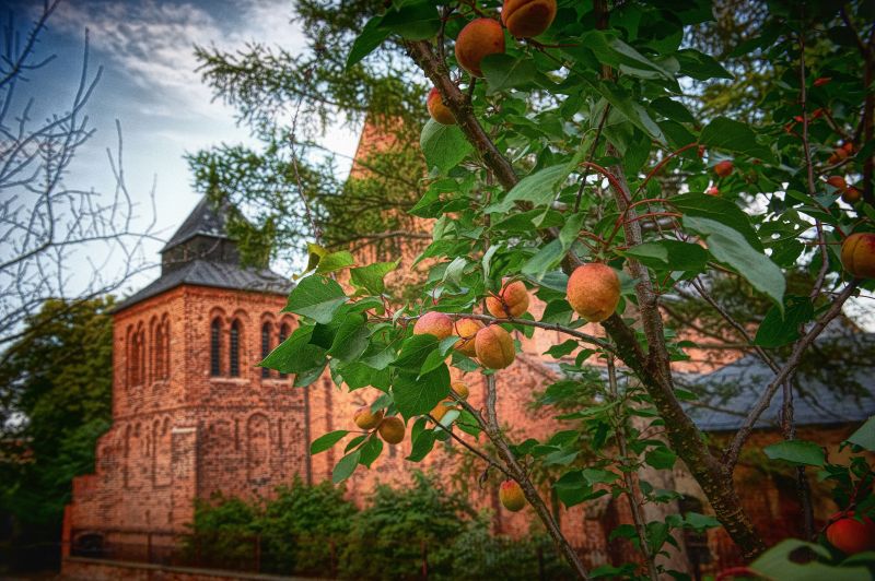 Fotografia SANDOMIERZ - Michał Wiśniewski Lębork