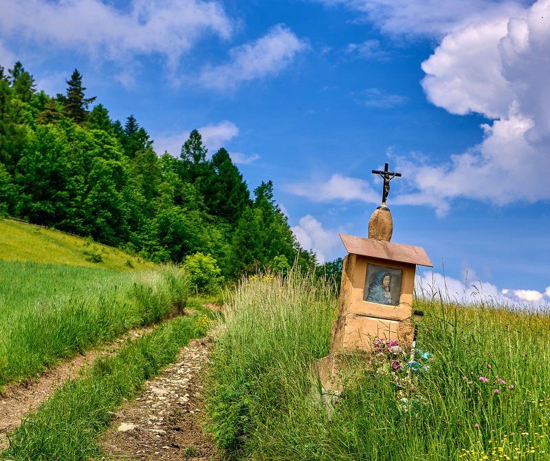 Fotografia PEJZAŻ - Michał Wiśniewski Lębork