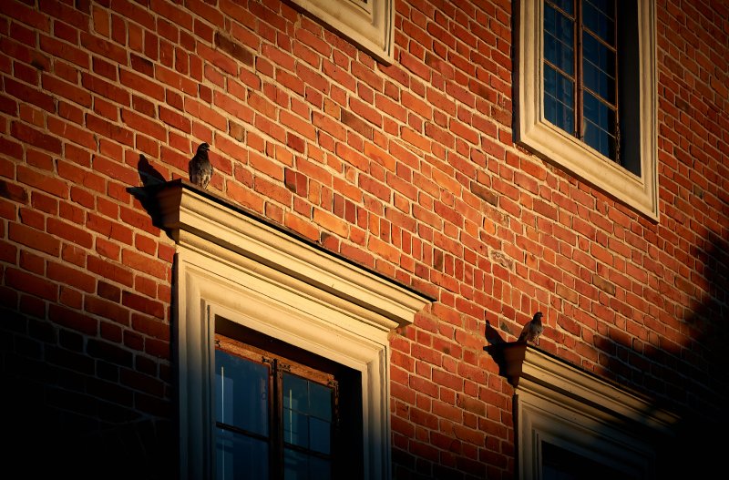 Fotografia SANDOMIERZ - Michał Wiśniewski Lębork