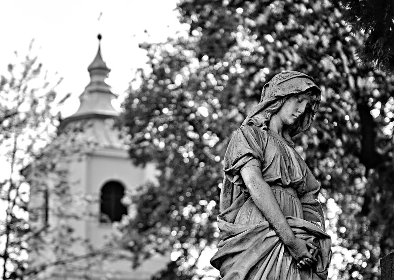 Fotografia SANDOMIERZ - Michał Wiśniewski Lębork